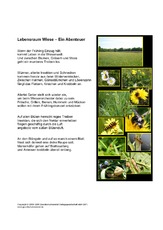 Lebensraum-Wiese-Ein-Abenteuer-Fotos-2.pdf